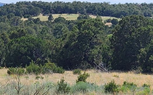 photo for a land for sale property for 30050-39729-Tijeras-New Mexico