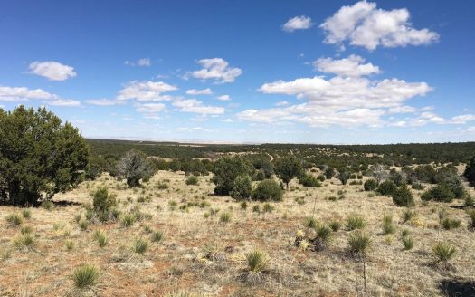 photo for a land for sale property for 30050-54518-Torreon-New Mexico