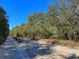photo for a land for sale property for 09090-89736-Trenton-Florida