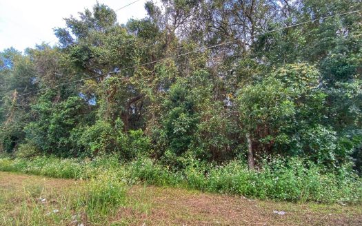 photo for a land for sale property for 09090-82949-Trenton-Florida