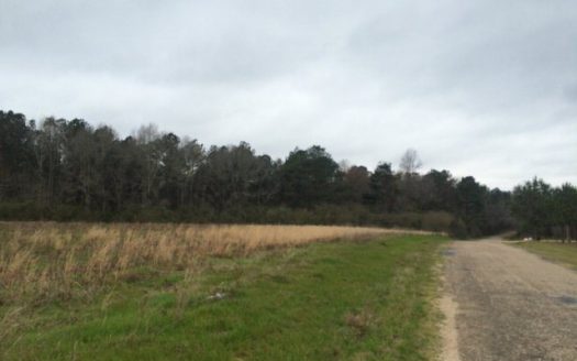 photo for a land for sale property for 23042-23554-Tylertown-Mississippi
