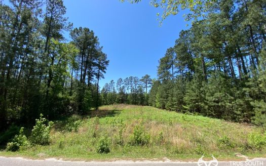 photo for a land for sale property for 39024-23035-Varnville-South Carolina