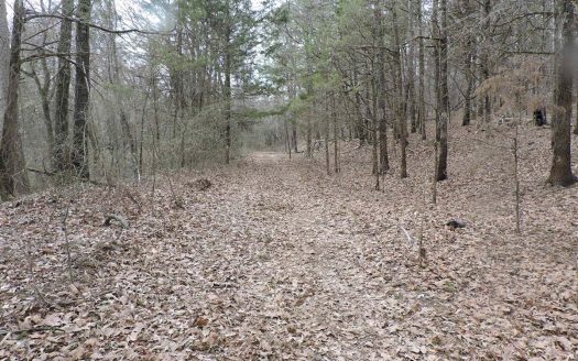 photo for a land for sale property for 03051-11385-Waldron-Arkansas