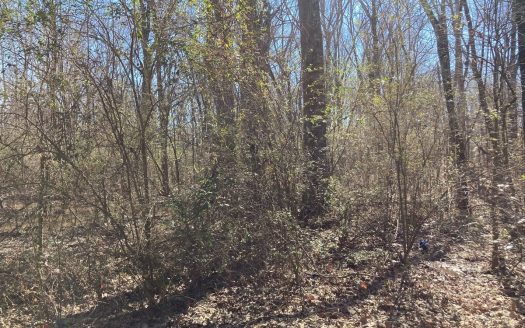 photo for a land for sale property for 03107-10076-Ward-Arkansas