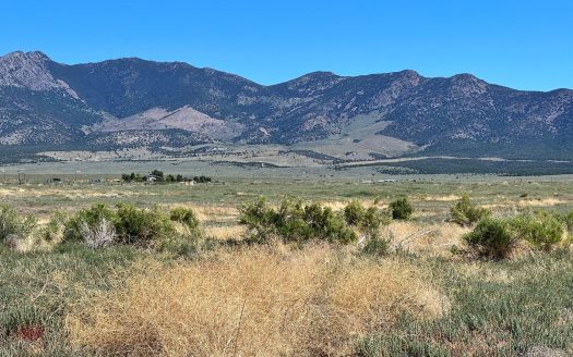 photo for a land for sale property for 27015-11014-Wells-Nevada