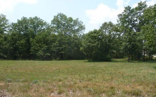 photo for a land for sale property for 24084-54340-West Plains-Missouri