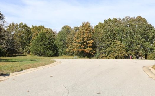 photo for a land for sale property for 24084-54360-West Plains-Missouri