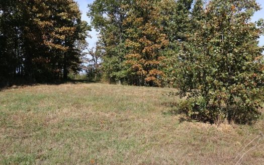 photo for a land for sale property for 24084-54370-West Plains-Missouri