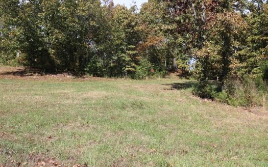 photo for a land for sale property for 24084-54480-West Plains-Missouri