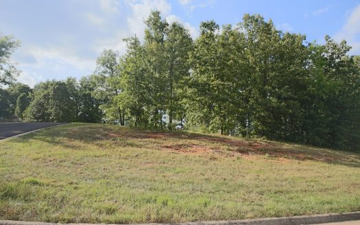 photo for a land for sale property for 24084-64450-West Plains-Missouri
