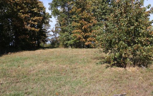 photo for a land for sale property for 24084-64460-West Plains-Missouri