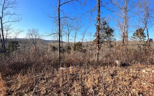 photo for a land for sale property for 03045-43240-Western Grove-Arkansas