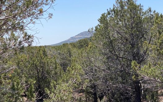 photo for a land for sale property for 02036-23123-Williams-Arizona