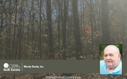 photo for a land for sale property for 03075-41762-Williford-Arkansas