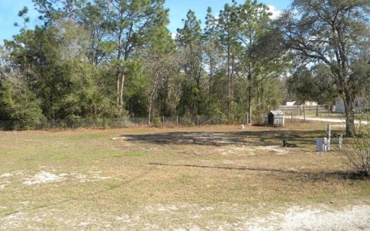 photo for a land for sale property for 09090-74224-Williston-Florida