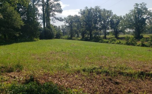 photo for a land for sale property for 17013-06742-Winnsboro-Louisiana