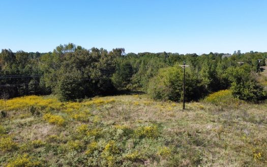photo for a land for sale property for 42139-22320-Winona-Texas