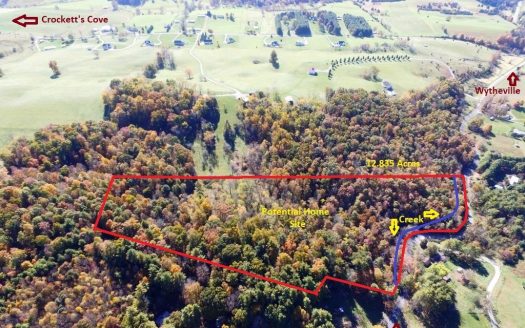 photo for a land for sale property for 45060-84686-Wytheville-Virginia