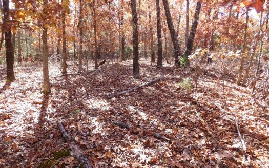 photo for a land for sale property for 03045-42880-Yellville-Arkansas