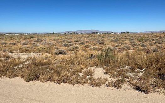 photo for a land for sale property for 27015-64119-Yerington-Nevada