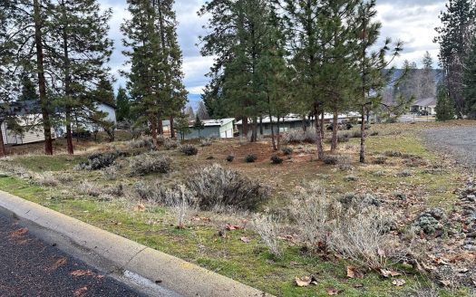 photo for a land for sale property for 04064-40040-Yreka-California