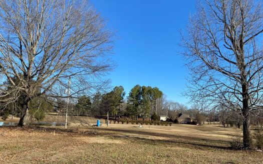 photo for a land for sale property for 41060-05292-Adamsville-Tennessee