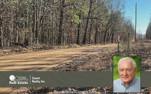 photo for a land for sale property for 24078-92780-Alton-Missouri