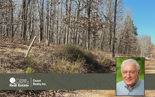 photo for a land for sale property for 24078-92790-Alton-Missouri