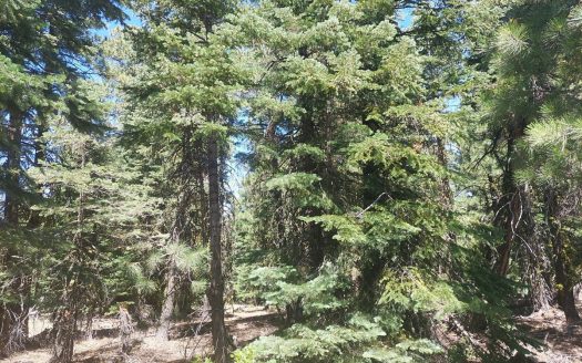photo for a land for sale property for 04037-50400-Alturas-California