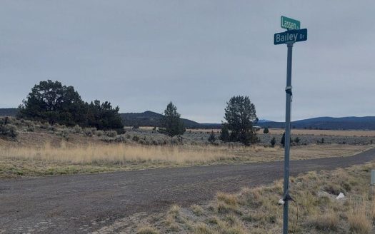 photo for a land for sale property for 04037-50890-Alturas-California