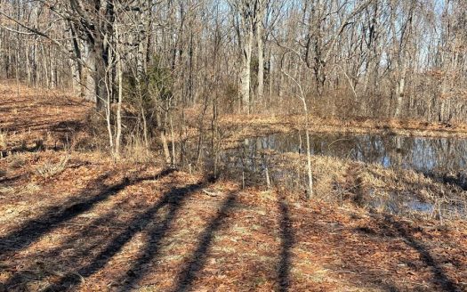 photo for a land for sale property for 24043-65980-Ava-Missouri