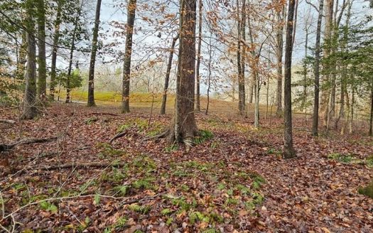 photo for a land for sale property for 45007-68710-Bracey-Virginia