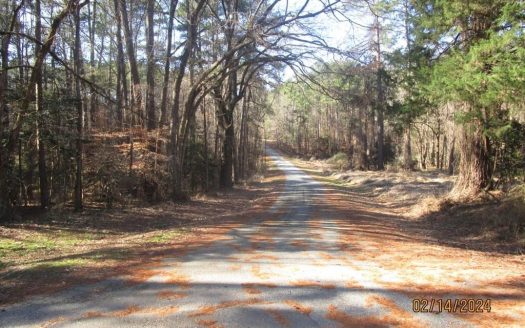 photo for a land for sale property for 45009-68720-Bracey-Virginia