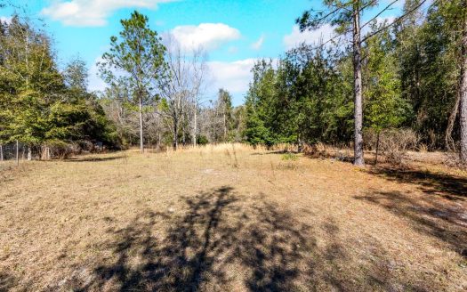 photo for a land for sale property for 09090-22344-Branford-Florida