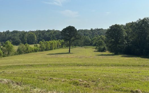 photo for a land for sale property for 01024-23092-Brantley-Alabama
