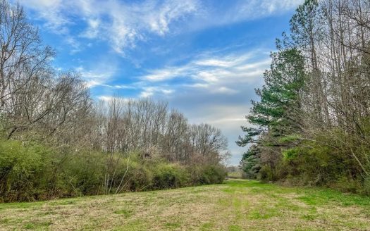 photo for a land for sale property for 23042-40824-Brookhaven-Mississippi