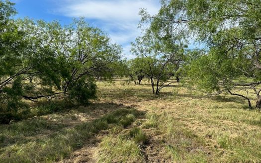 photo for a land for sale property for 42165-53906-Brownwood-Texas