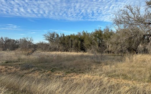 photo for a land for sale property for 42165-53908-Brownwood-Texas