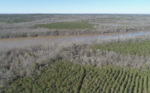 photo for a land for sale property for 01062-10005-Camden-Alabama