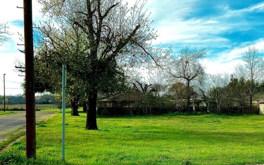 photo for a land for sale property for 42273-35178-Cameron-Texas