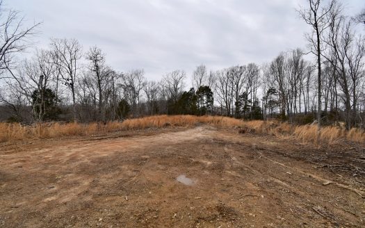 photo for a land for sale property for 41053-55180-Centerville-Tennessee