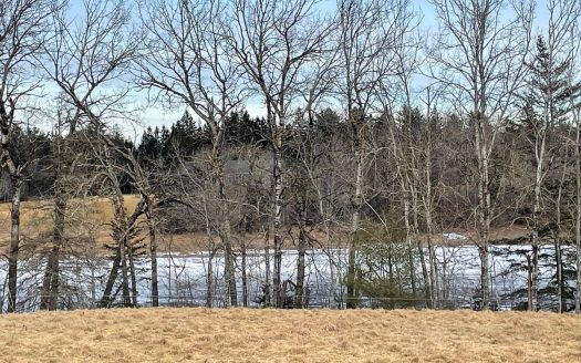 photo for a land for sale property for 18014-10372-Cherryfield-Maine