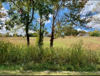 photo for a land for sale property for 41112-00020-Cookeville-Tennessee