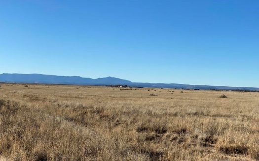 photo for a land for sale property for 30050-27009-Estancia-New Mexico