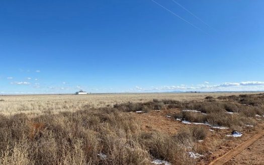 photo for a land for sale property for 30050-28293-Estancia-New Mexico