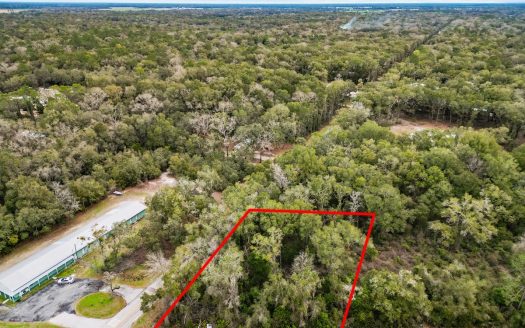 photo for a land for sale property for 09090-90013-Fanning Springs-Florida