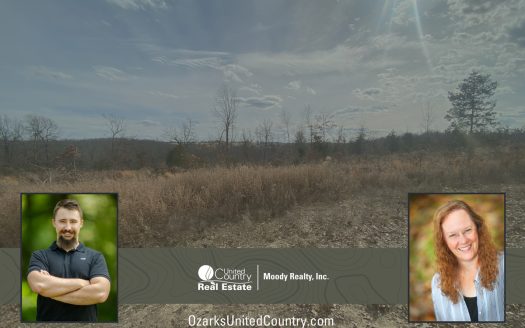 photo for a land for sale property for 03075-41953-Flippin-Arkansas