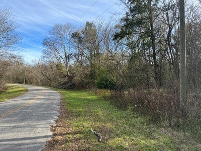 photo for a land for sale property for 09029-22148-Fort White-Florida