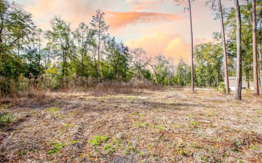 photo for a land for sale property for 09090-51952-Fort White-Florida