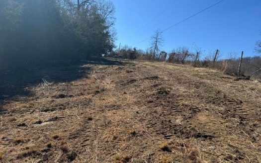 photo for a land for sale property for 41095-04479-Greeneville-Tennessee